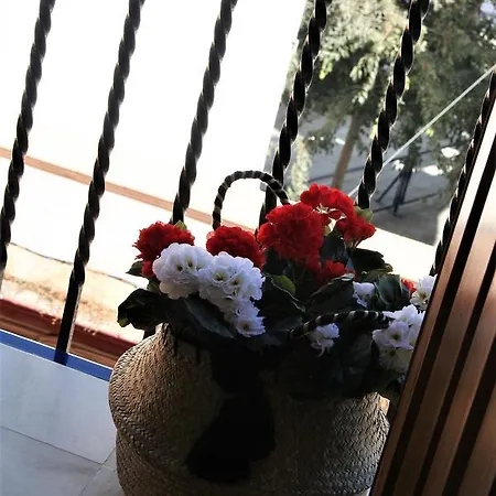 Guest house Nuea Cicerone Seville