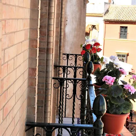 Guest house Nuea Cicerone
